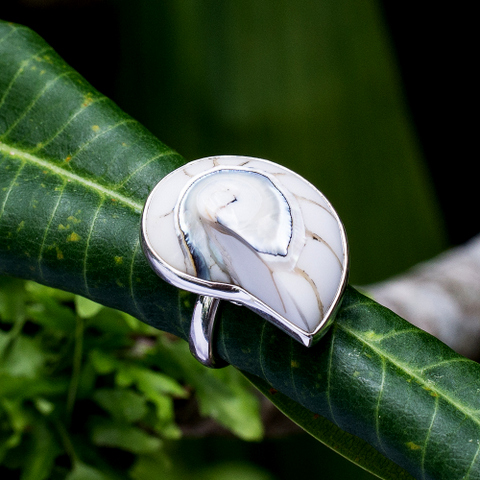 кольцо с натуральной ракушкой Наутилус