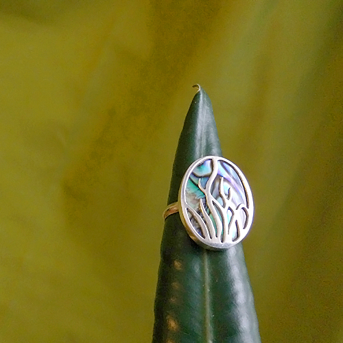 балийское кольцо с ракушкой абалон